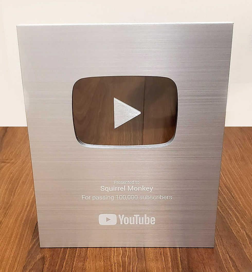 A silver YouTube Creator Award displayed against a wall