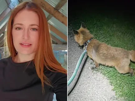 Mikayla Raines’ Husband Honors Her Legacy With a Quiet Night Ritual