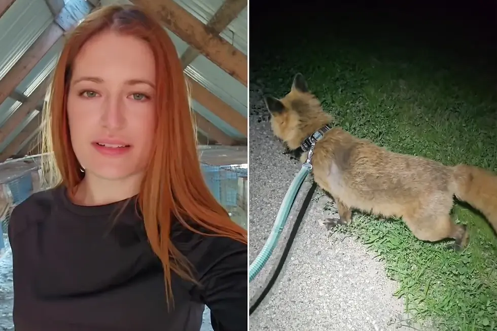 Mikayla Raines, her pet rescue fox Finnegan. Mikayla Raines/Instagram