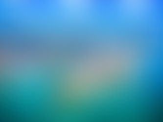 South Florida Emerges as a Magnet for Wealth Amid New York City's Economic Outflow