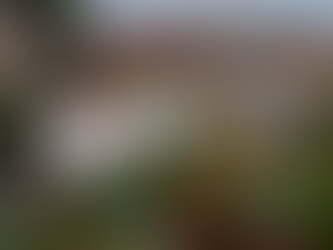 Pending Home Sales Reach Six-Month High as U.S. Housing Market Shows Signs of Life