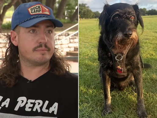 Influencer Taylor Hannan Launches Heartfelt Public Campaign After His Dog Was Stolen with His Car
