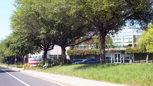 Broadcom headquarters in San Jose as the company reports sharp growth in AI chip revenue