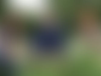 HBO Reveals Young Cast for ‘Harry Potter’ TV Series Ahead of 2026 Release