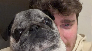 French influencer admits he staged his dog’s kidnapping stunt for clicks and apologizes