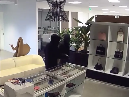 Luxury Handbag Thieves Are Dramatically Caught Mid-Heist in Irvine, California