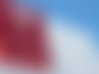 Tesla Faces Sharp Decline in European Sales Amid Political Controversy