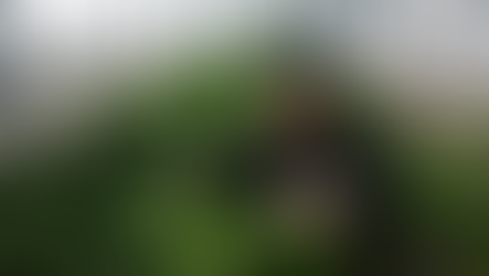 Minnesota’s Legal Cannabis Industry Blooms With Tens of Thousands of Plants Under Cultivation