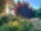 IMG_2971.jpeg