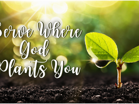 Serve Where God Plants You (Matthew 28:19)