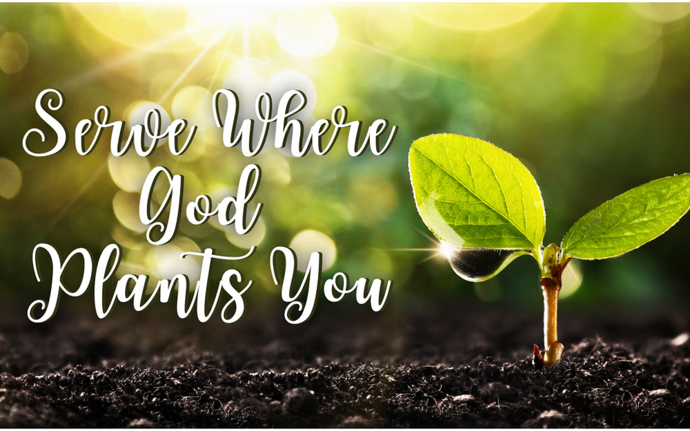Serve Where God Plants You (Matthew 2819)