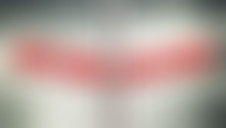 Socialism’s Achilles Heel: The Sinful Nature of Man