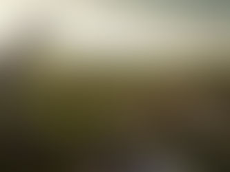 Sheep in the Midst of Wolves in the Workplace