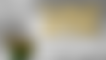 Has Lying Become Acceptable In Today's Culture?