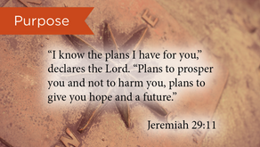 Look for God's Purpose in Your Suffering