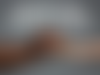 Achieving Racial Harmony in America