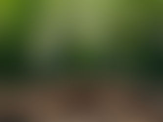 Be a Workplace Missionary: Serve Where God Plants You