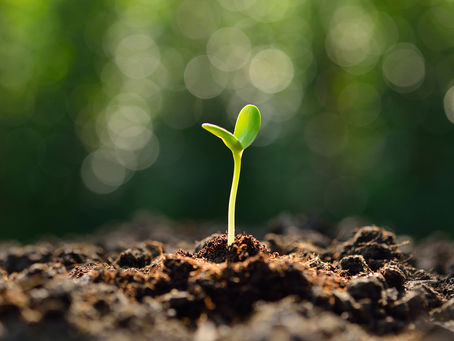 Be a Workplace Missionary: Serve Where God Plants You