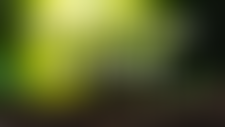 How You Can Grow in Christ (2 Peter 3:18)