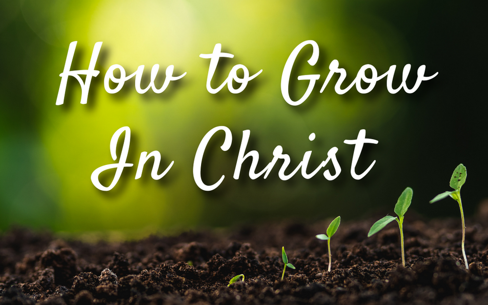 How You Can Grow in Christ (2 Peter 318)
