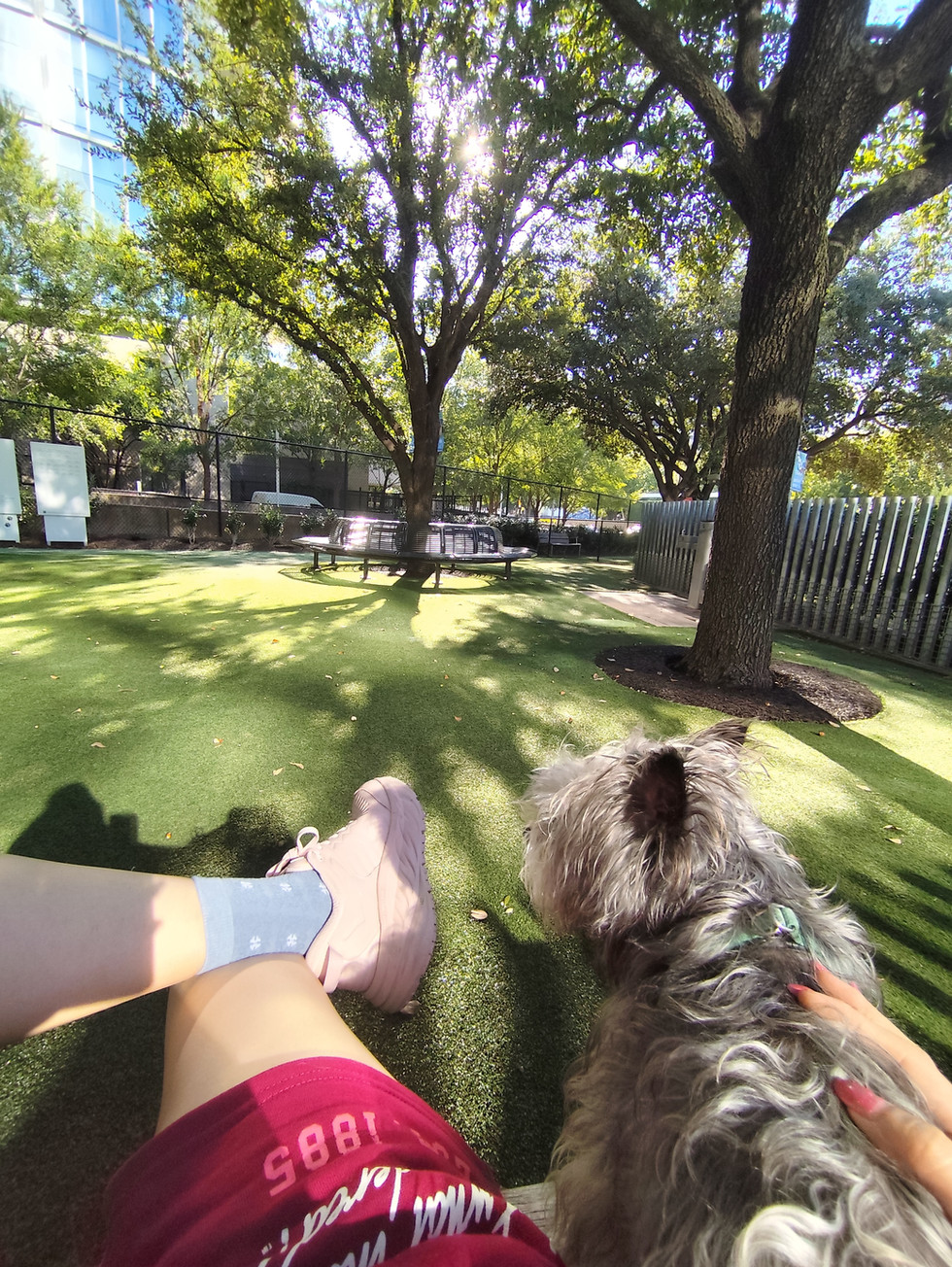 Downtown Dallas, Texas. Photo by Amber. October 9, 2025.