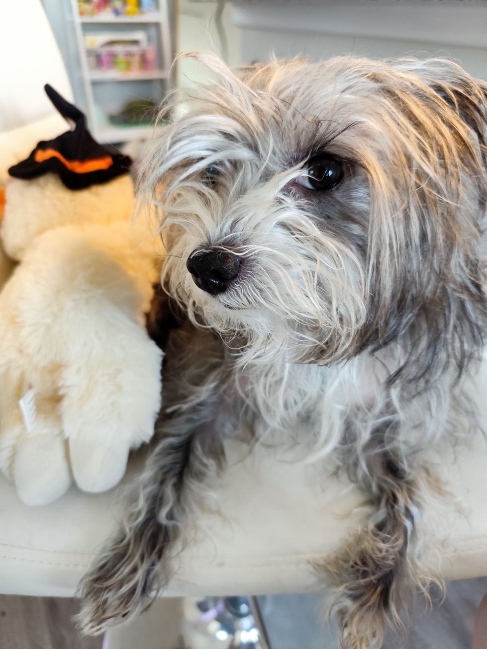 Amber loves her puppy. Photo by Amber on October 14, 2025 in Dallas, Texas.