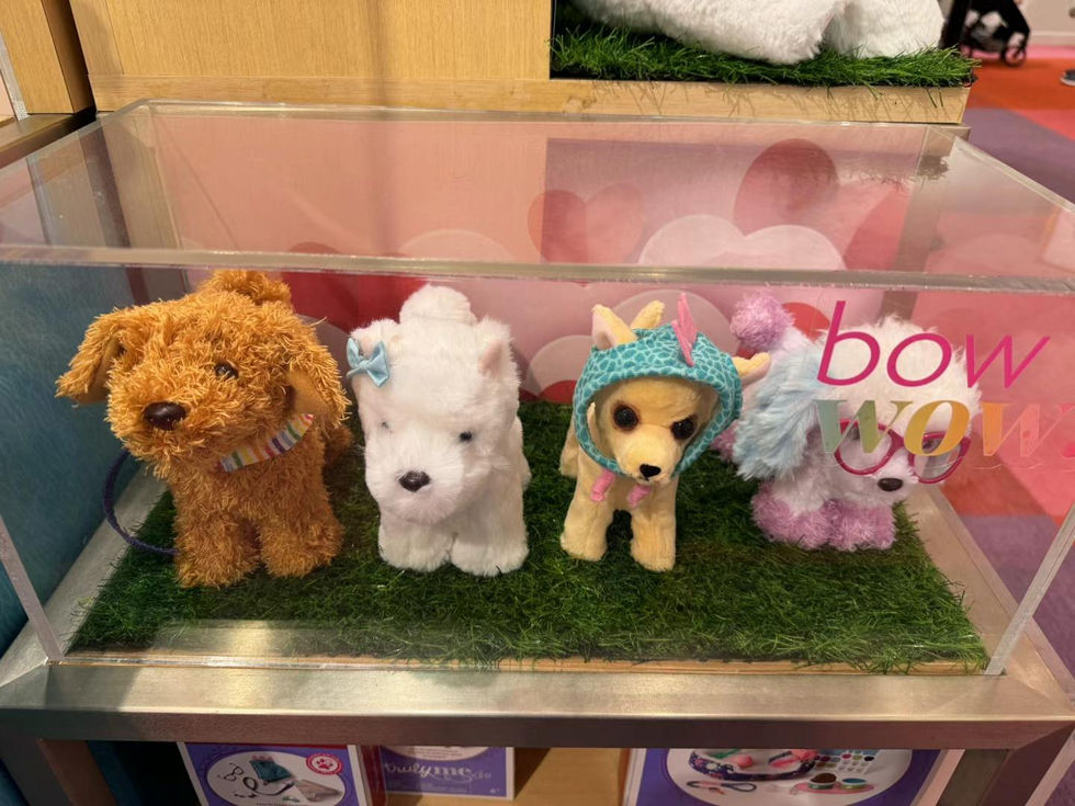 Photo by Amber in American Girl store in Manhattan, NYC in May 2023