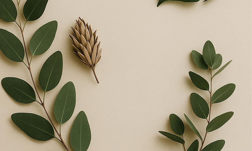 ChatGPT Image 25 Eki 2025 15_23_07_edited.png