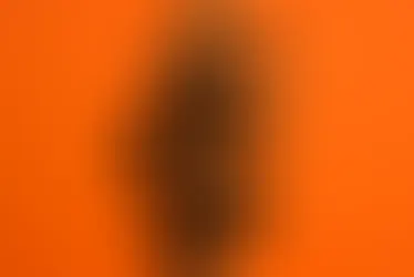 Bronze serpent coiled on a wooden pole against an orange backdrop—visualising ‘look and live’ from Numbers 21 and John 3.