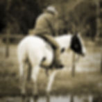 Oakford 3 Day Horsemanship Clinic