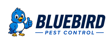 Background removed.png