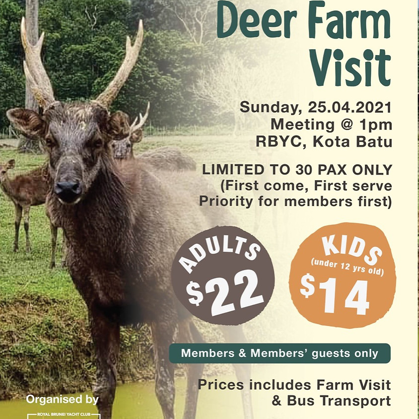 Lamunin Deer Farm Visit