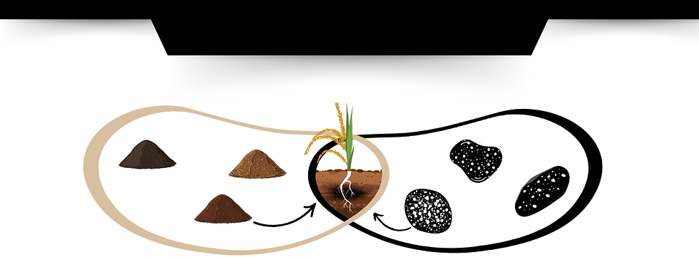 Untitled design (12).png