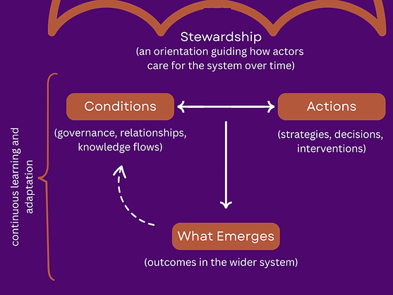 stewardship framework (4).png