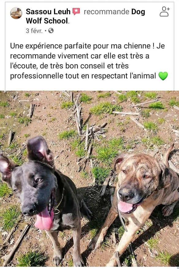 164183518_224747022762583_71174269844721