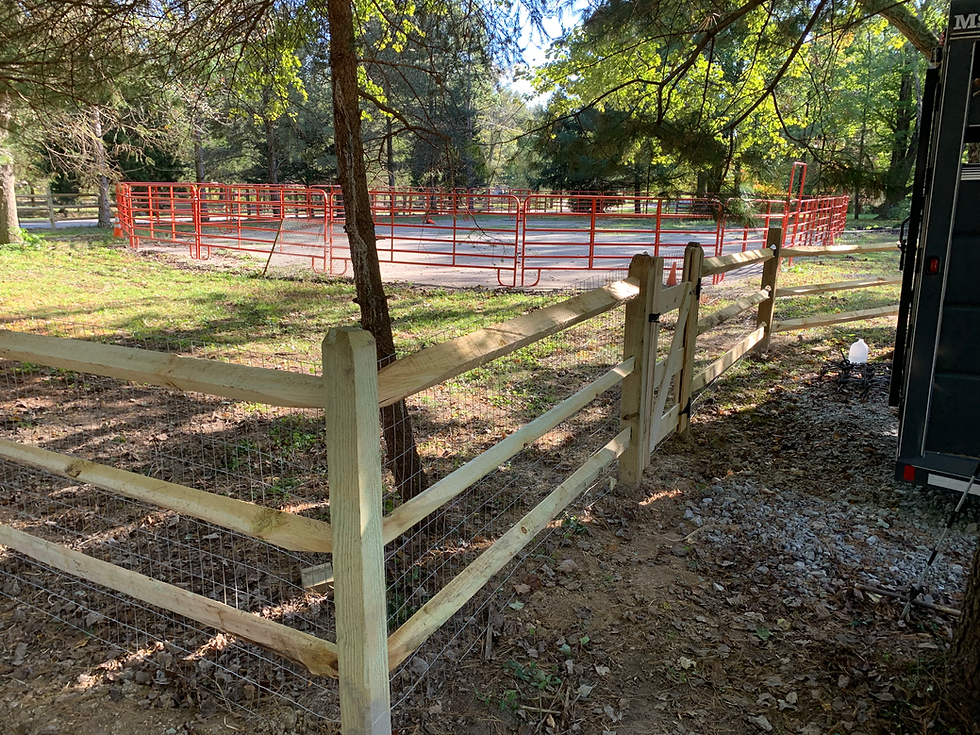 Thumbnail: Split rail fencing 