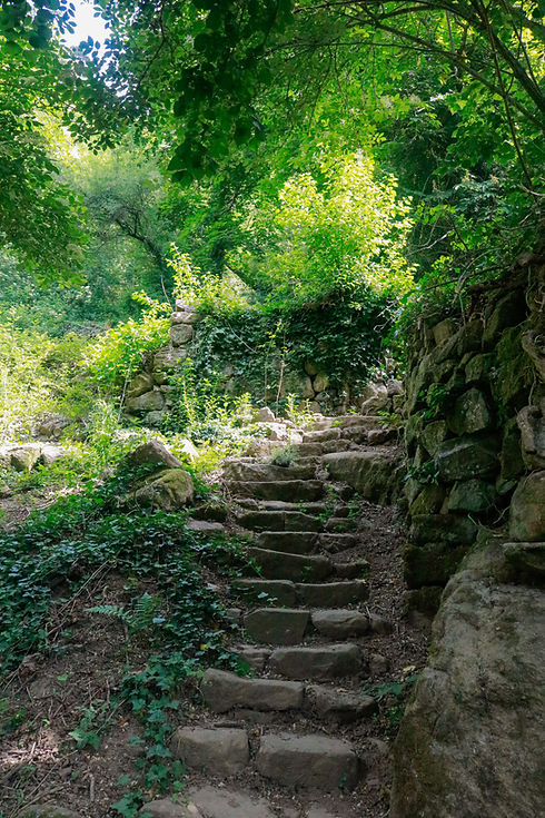 escalier qui monte 11-12-13.jpg