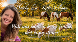 titulka_kate_result