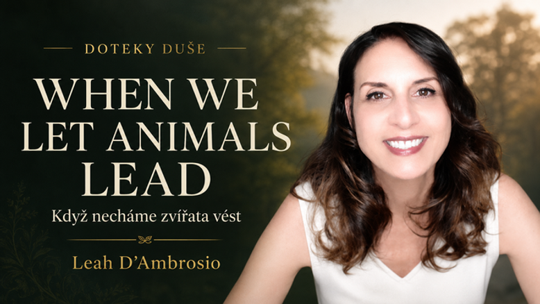 ChatGPT Image 25. 8. 2026 21_30_46_result.png