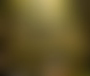 Klidný les s kamennou řekou