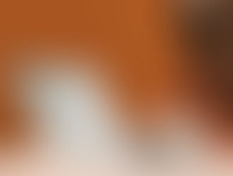 JEQ Foundation signs MOU with Adumos Engineering, Ltd. Ghana