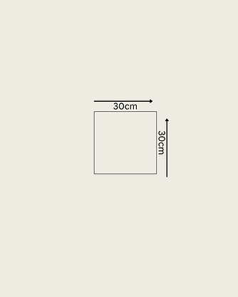 30cm.png