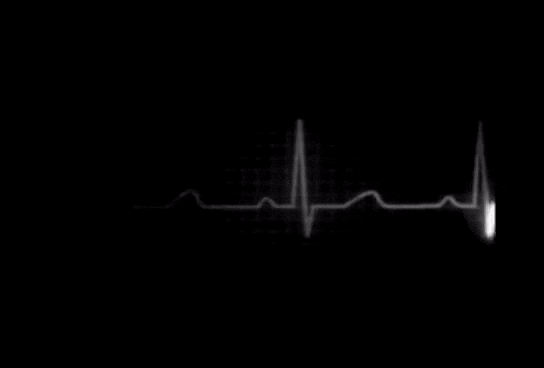 2907f6_c0edbc787d0840689427c9f0ac6278cc~