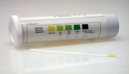 analyse-urine-diabete-chat.jpg