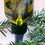 Thumbnail: Heartland Forest Lava Lamp Magic Body and Room Spray