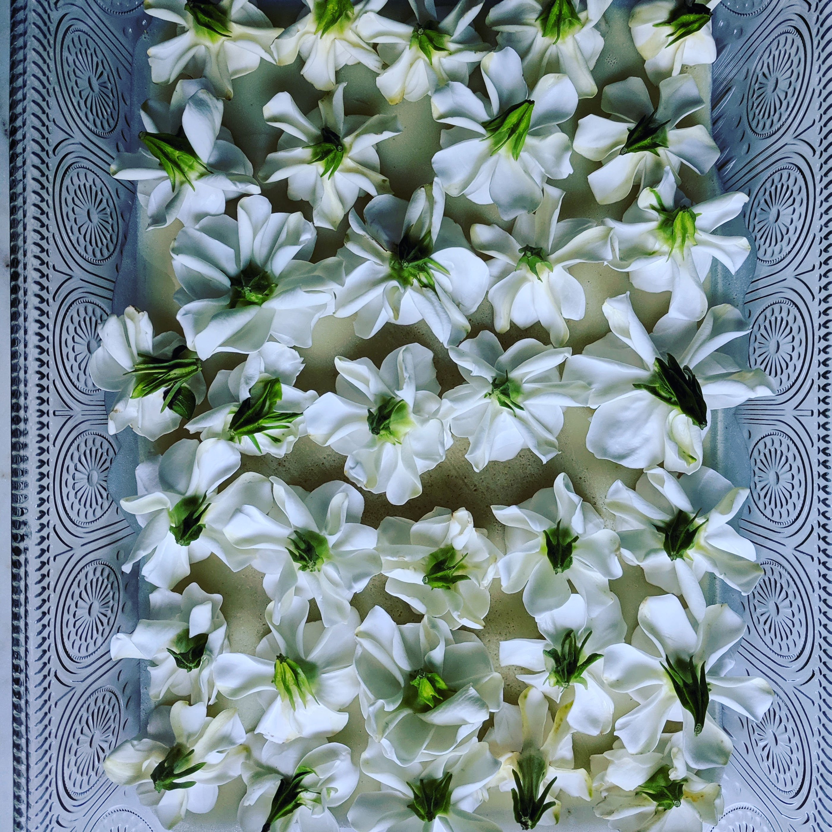 Enfleurage Hair Perfume Pomade