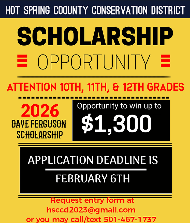 Scholarchip flyer.png