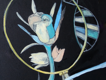 ROGEHEBO (Rosaceae Geum heterocarpum Boiss) 2026 · Oil on Canvas · 30 × 40 cm © Ruth Mateus-Berr