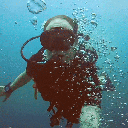 Diving.gif