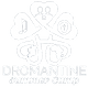 Dromantine Summer Camp Logo